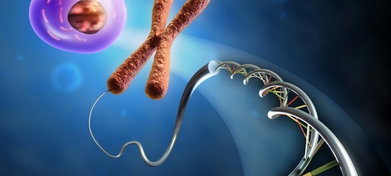 Karyotyping 배우자, 또는 건강한 아기의 출생을 계획하는 방법