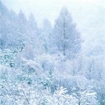 겨울을 촬영하는 방법? 겨울을 촬영하는 방법?