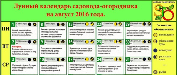 2016 년 8 월 모스크바 지역, 러시아 중부, 우랄, 시베리아, 북서부, 벨로루시 및 우크라이나의 음력 트럭 농부 2016 년 8 월 모스크바 지역, 러시아 중부, 우랄, 시베리아, 북서부, 벨로루시 및 우크라이나의 음력 트럭 농부