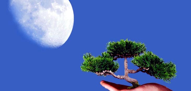정원사 및 트럭 농부 2015 음력 정원사 및 트럭 농부 2015 음력