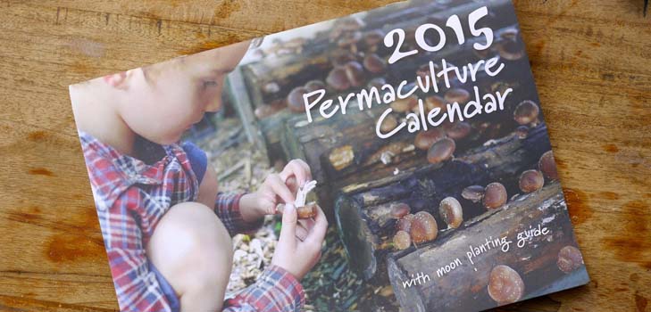 파종기 달력 2015 : 1 월에서 12 월까지 일할 계획입니다.