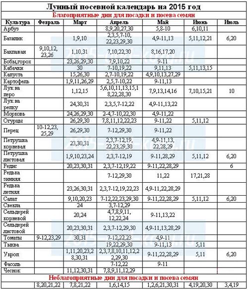 파종기 달력 2015 : 1 월에서 12 월까지 일할 계획입니다.