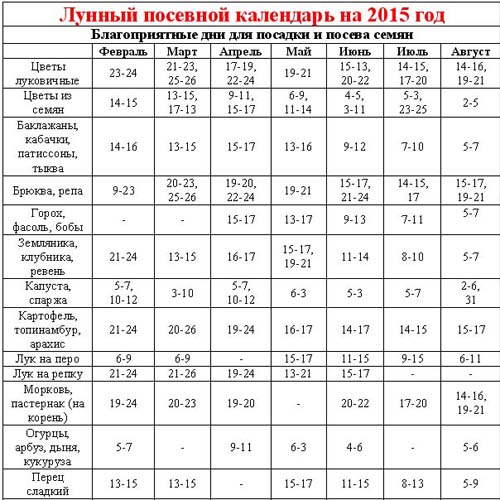 파종기 달력 2015 : 1 월에서 12 월까지 일할 계획입니다.