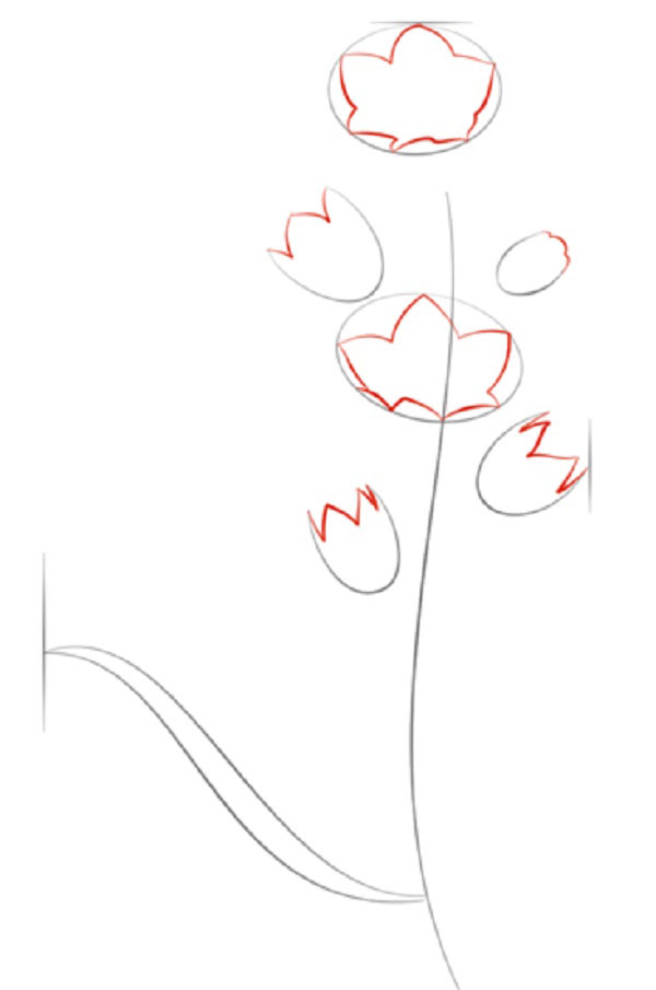 피겨 꽃