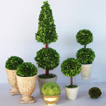 topiary 관리