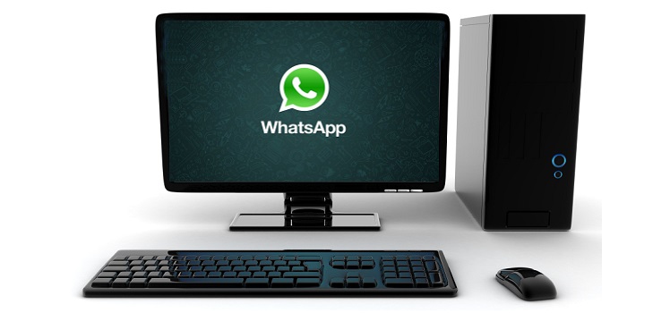 Whatsapp 설치 방법