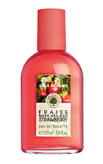 이브 로쉐 Les Plaisirs Nature Strawberry 이브 로쉐 Les Plaisirs Nature Strawberry