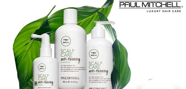 뿌리부터 끝까지 모발의 힘 : Paul Mitchell Tea Tree 두피 케어 시리즈
