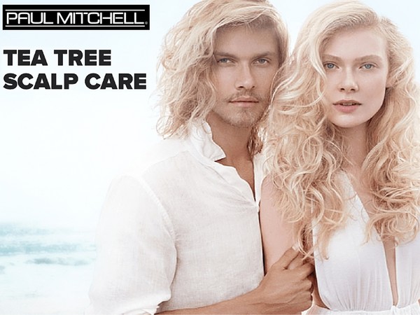 뿌리부터 끝까지 모발의 힘 : Paul Mitchell Tea Tree 두피 케어 시리즈