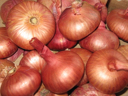 무릎 관절의 민간 arthrosis 치료