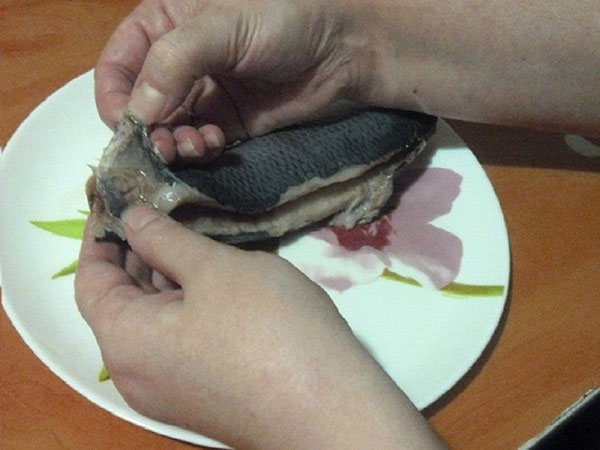 청어를 제대로 뼈에서 자르는 법