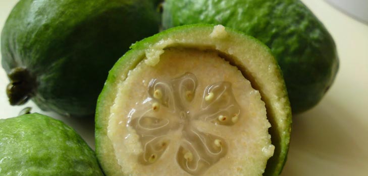 feijoa 먹는 법 : feijoa를 제대로 먹는 법