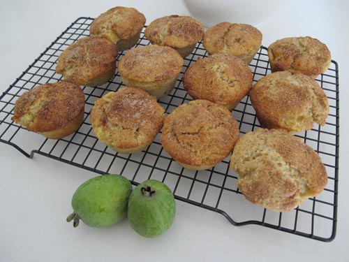 feijoa 먹는 법 : feijoa를 제대로 먹는 법