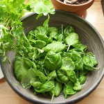 겨울철 밤색을 조달하는 방법?