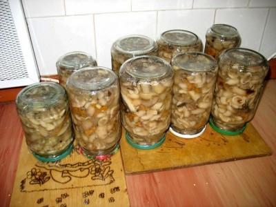 겨울 통조림