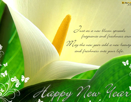 2015 년 새해 축하, 축하합니다.