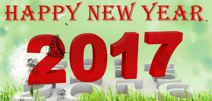 축하 해피 뉴 이어 2017 수탉