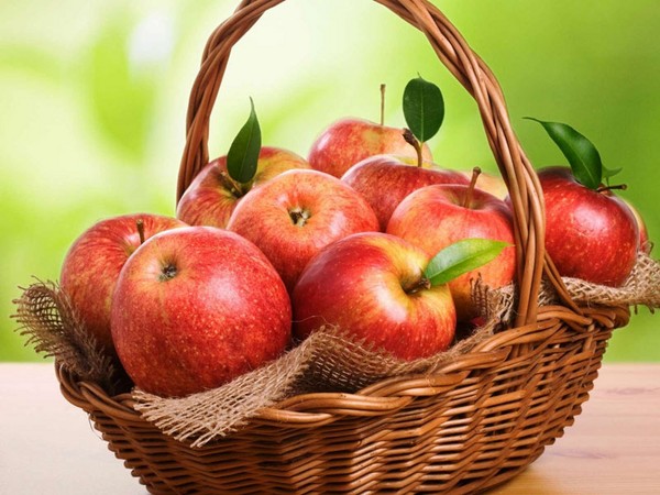 Apple Savior, 짧고 재미있는 SMS를 축하드립니다. 시와 산문에서 애플 구세주님께 축하드립니다.