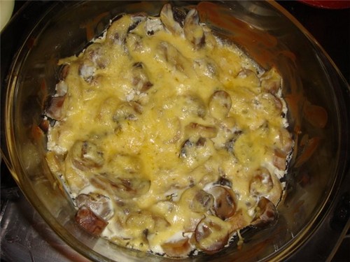 흰 버섯 : 맛있는 요리를 조리하는 방법