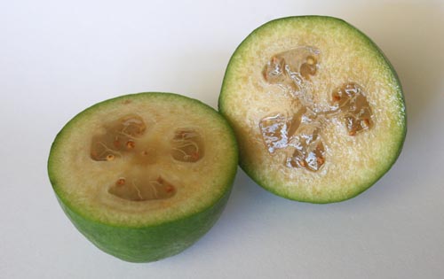 꿀이 든 Feijoa, 사진이있는 요리법