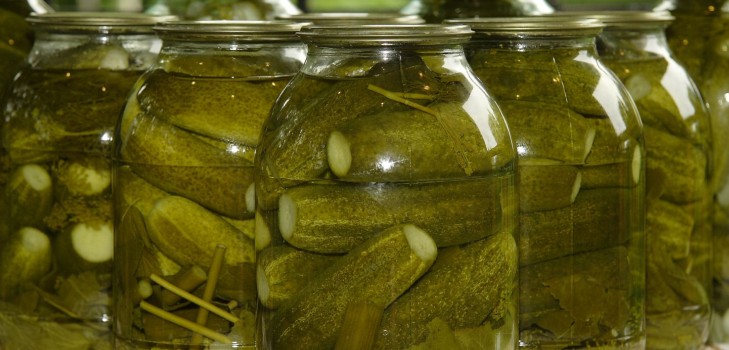 겨울을위한 파삭 파삭 한 오이 - 식초없이 살균없이 절인. 보드카가있는 캔에 파삭 파삭 한 오이의 사진이 담긴 최고의 간단한 요리법