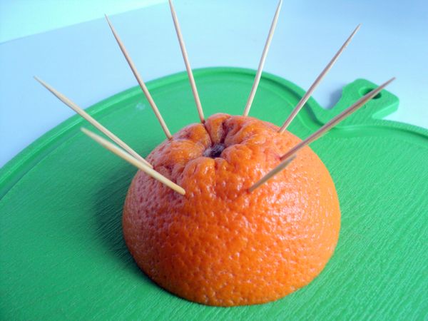 아름다운 서빙과 과일 봉사