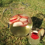 Sangria 와인을 만드는 방법 - 단계별 사진 제조법 Sangria 와인 조리법 사진