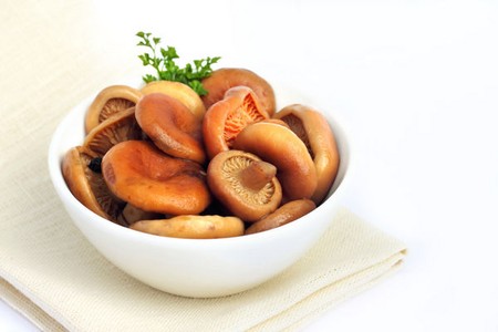 겨울철 솔잎 버섯 겨울철 솔잎 버섯