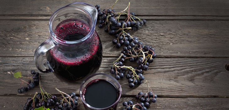 초코 베리 ashberry에서 설탕에 절인 과일