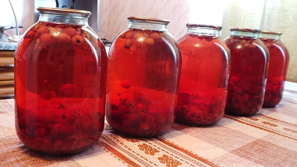 초코 베리 ashberry에서 설탕에 절인 과일