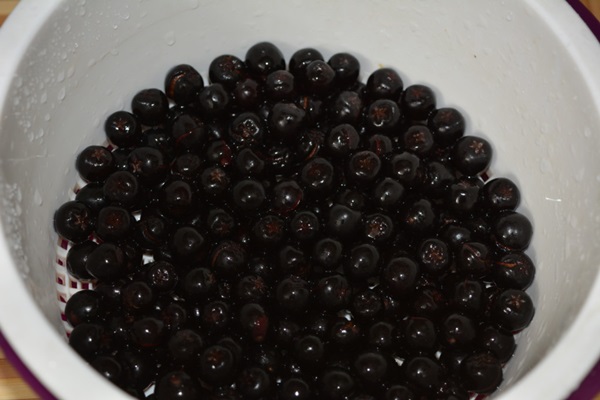초코 베리 ashberry에서 설탕에 절인 과일
