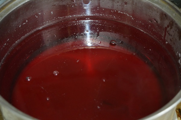 초코 베리 ashberry에서 설탕에 절인 과일