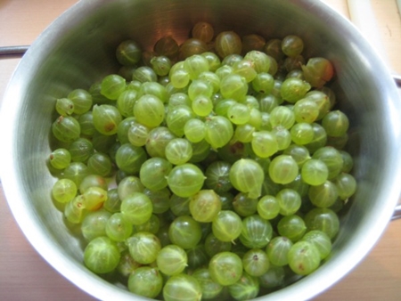 겨울을위한 오렌지와 구스베리의 Compote 