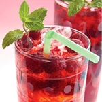 겨울을위한 나무 딸기의 Compote