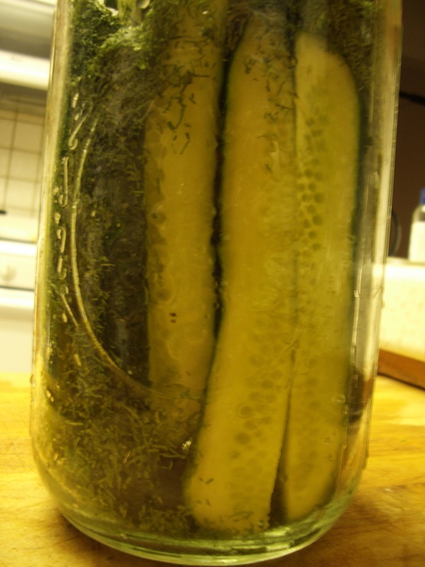 겨울에는 마늘과 함께 맛있는 오이