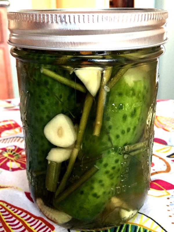 겨울에는 마늘과 함께 맛있는 오이