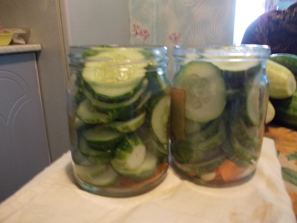 겨울에는 마늘과 함께 맛있는 오이