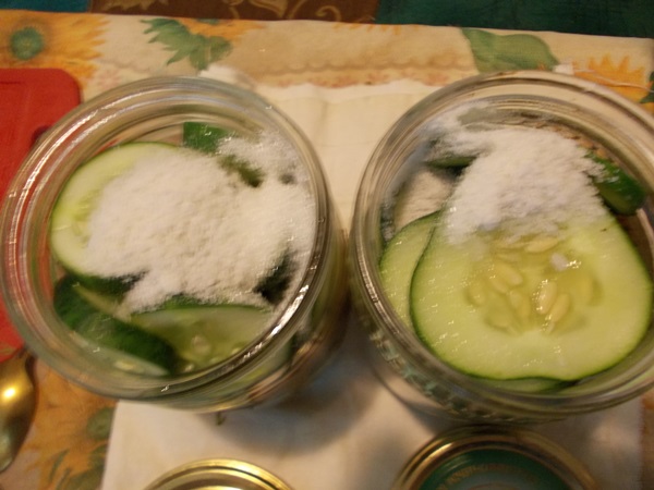 겨울에는 마늘과 함께 맛있는 오이