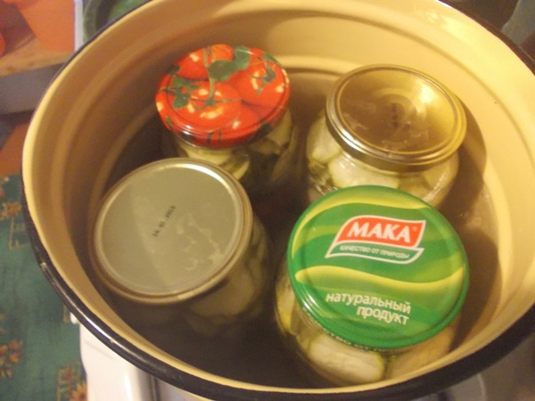 겨울에는 마늘과 함께 맛있는 오이