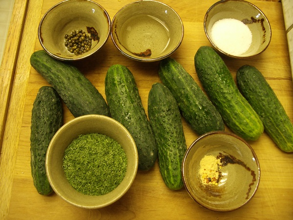 겨울에는 마늘과 함께 맛있는 오이