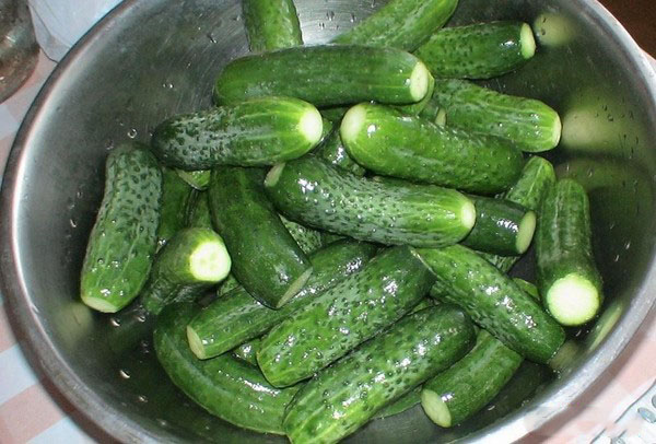 깡통에 겨울 살균없이 케첩을 가진 오이. 케찹 칠리와 함께 겨울 날카로운 파삭 파삭 한 오이 수확