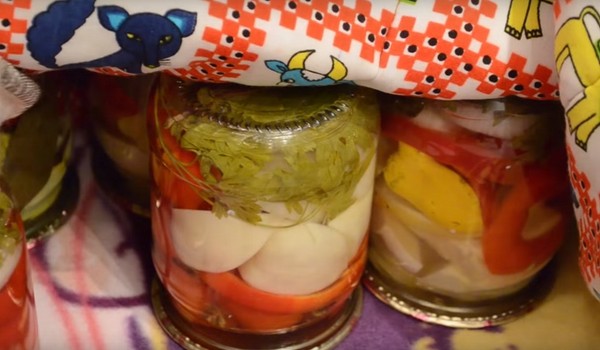겨울의 패티슨, 맛있는 공상 요리법 항아리에 "손가락 핥기"- 소금에 절인 것, 소금에 절인 것, 살균하지 않고