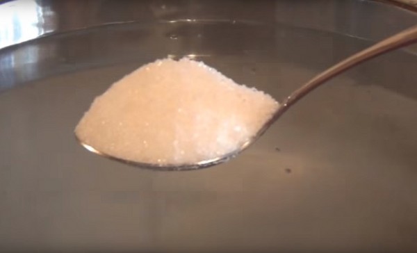 겨울에는 마늘을 곁들인 토마토, 요리법. 겨울 동안 마늘로 토마토 수확 : 빠른 요리를위한 조리법, 살균없이, 입욕없이 소금에 절인