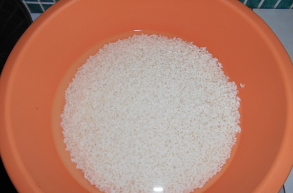 겨울을위한 토마토 샐러드