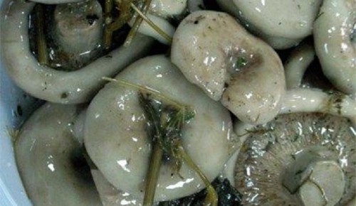 겨울을위한 건포도 : 맛있고 간단한 조리법