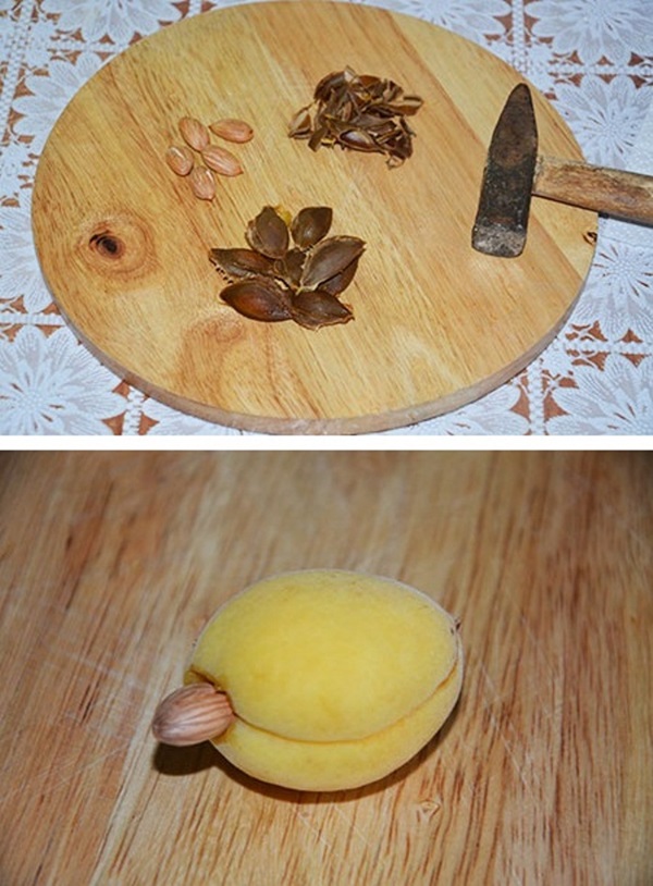 살구 잼 - 왕실 제법