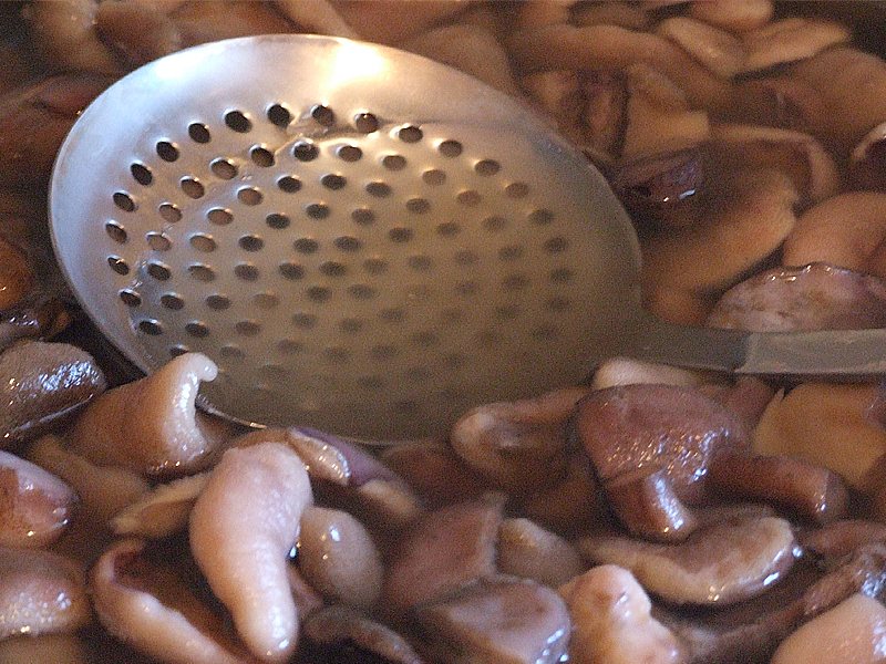기름진 빌릿