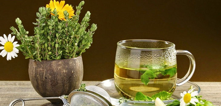 Phytoalchemia : 아름다움과 건강을위한 허브