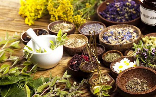 Phytoalchemia : 아름다움과 건강을위한 허브