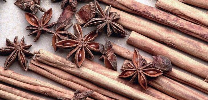 계피의 치료 특성